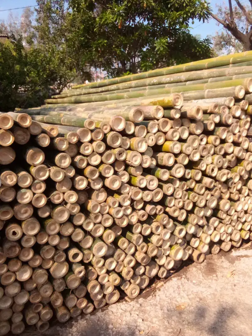 Jual bambu 6/7 - 10/12