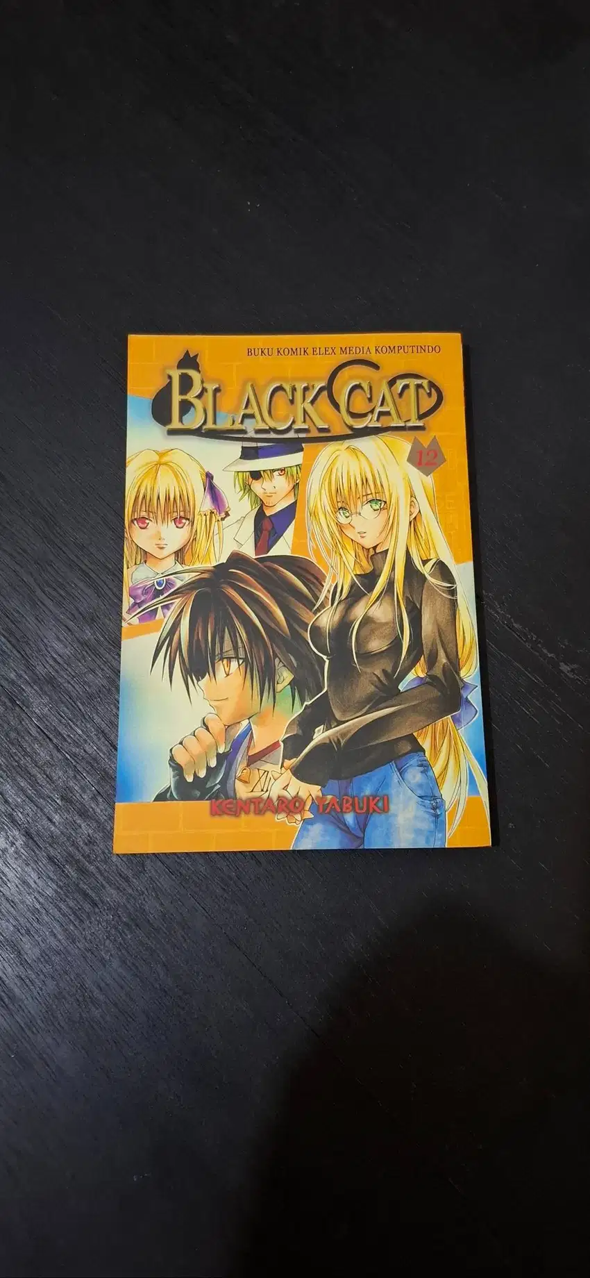 Komik Black Cat 12 Bahasa Indonesia