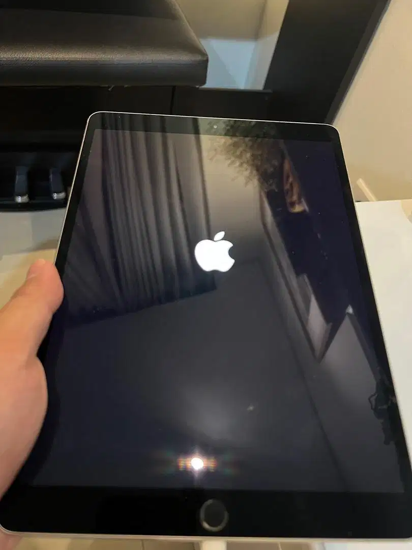 Ipad Pro 10.5 (2017) Wifi 256Gb