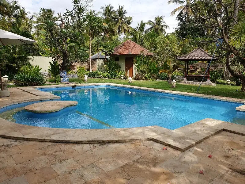 for Rent House with big swimmingpool and big garden