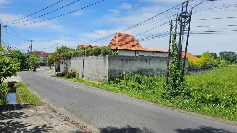 Tanah View Sawah Raya Veteran Tiying Tutul Mengwi