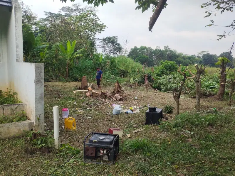 Tanah darat. bebas banjir