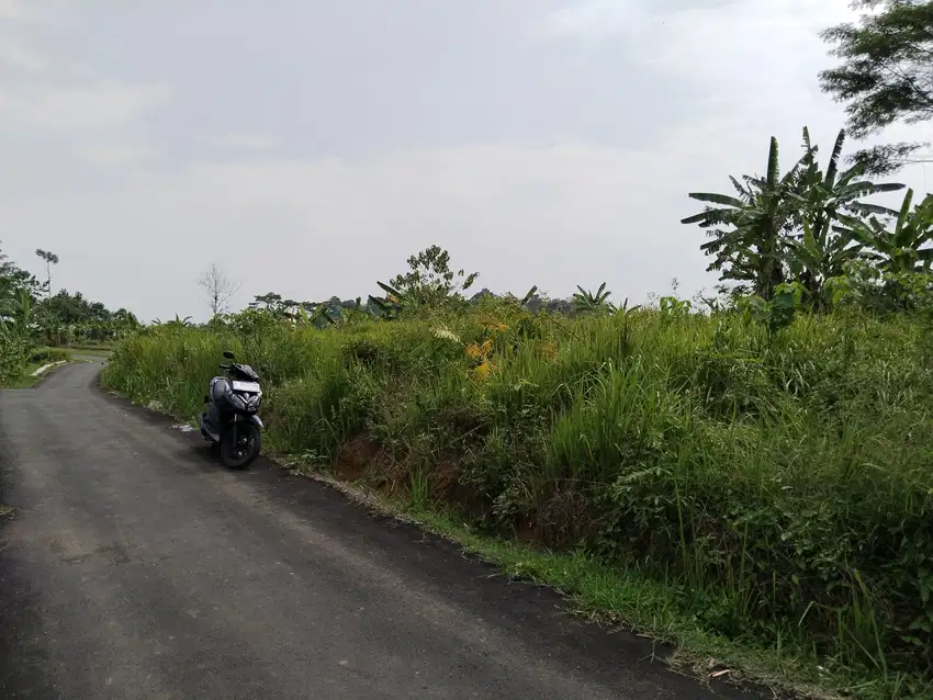 Tanah darat/ Kebun Kosong Dijual Cepat