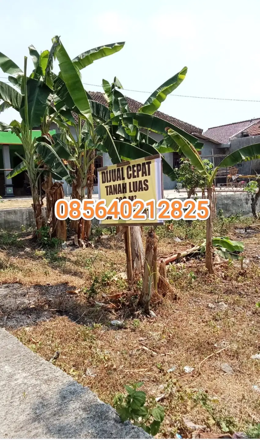 Tanah murah plesungan gondangrejo