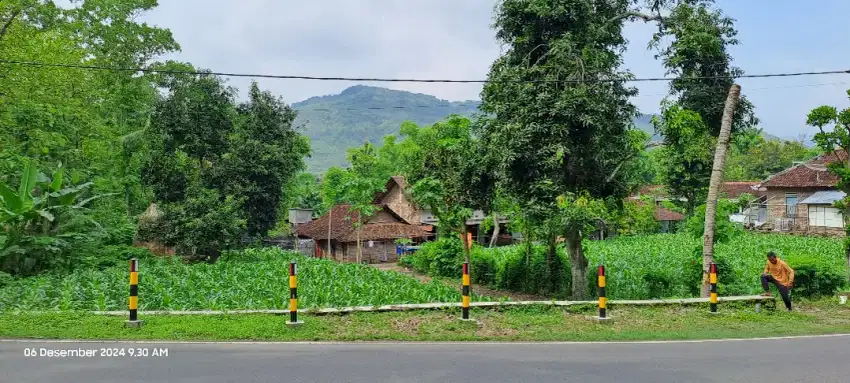 Dijual Tanah Pekarangan Pinggir Jalan Provinsi Jatim-Jateng.