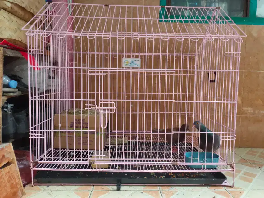 Kandang kucing, kelinci, burung dll. Octagon