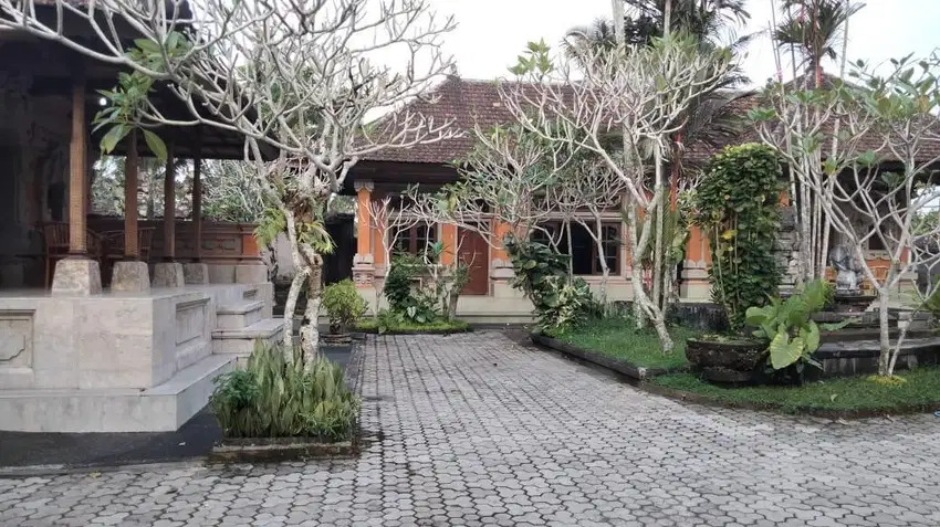 Dijual Rumah  1 Lantai View Sawah di Tampaksiring, Gianyar.