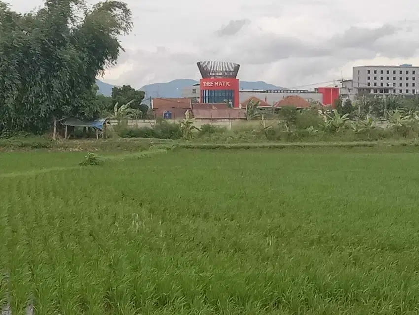 Dijual tanah murah di sukamaju dekat Alun alun majalaya Kec Majalaya