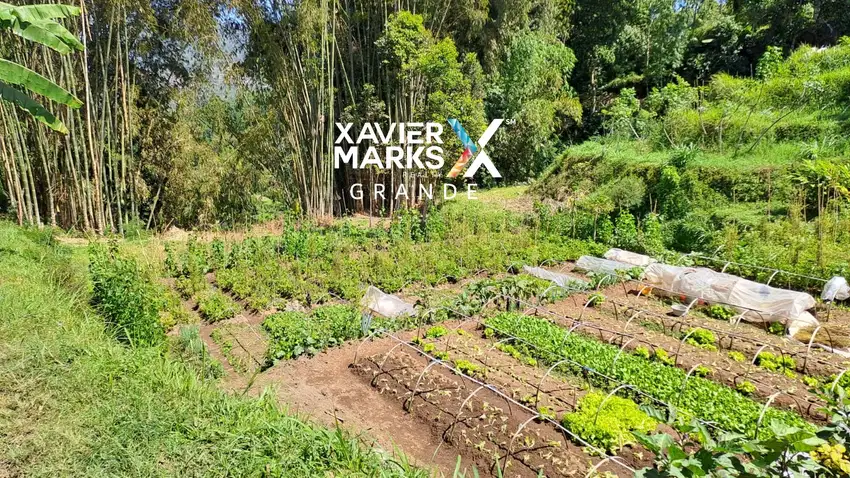 DIJUAL TANAH KEBUN DI PUJON, KAB.MALANG