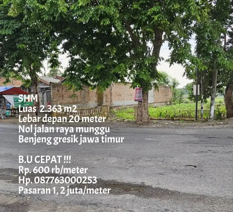 Termurah 600 rb/m Jual cepat tanah pinggir jalan raya munggu benjeng