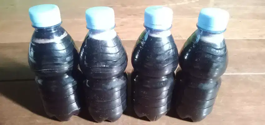 MADU KELULUT HITAM