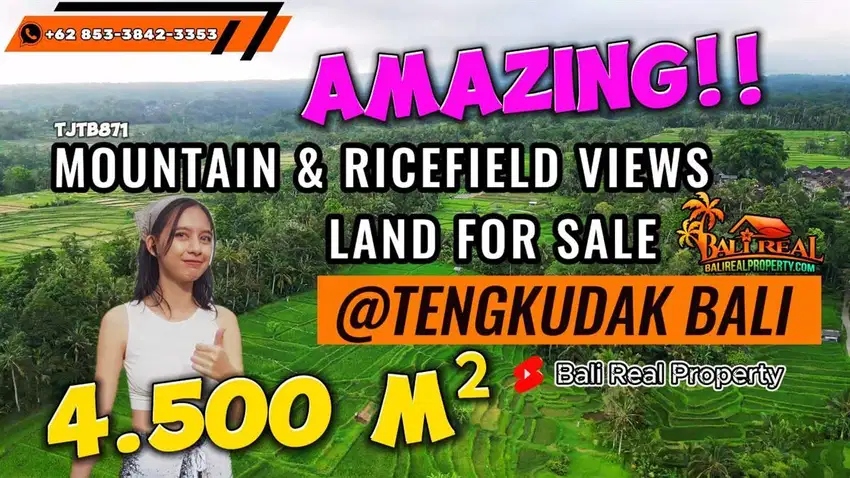 Beautiful Rice Fields and Mountain view in Penebel Tabanan