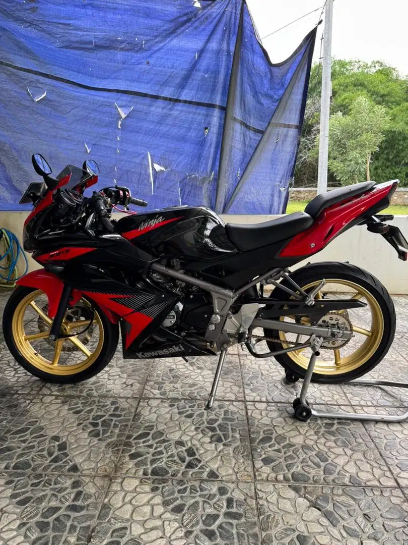 Kawasaki Ninja RR New 2014 terawat