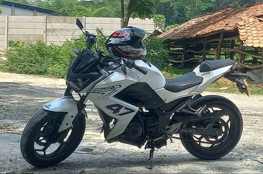 Kawasaki Ninja Z250