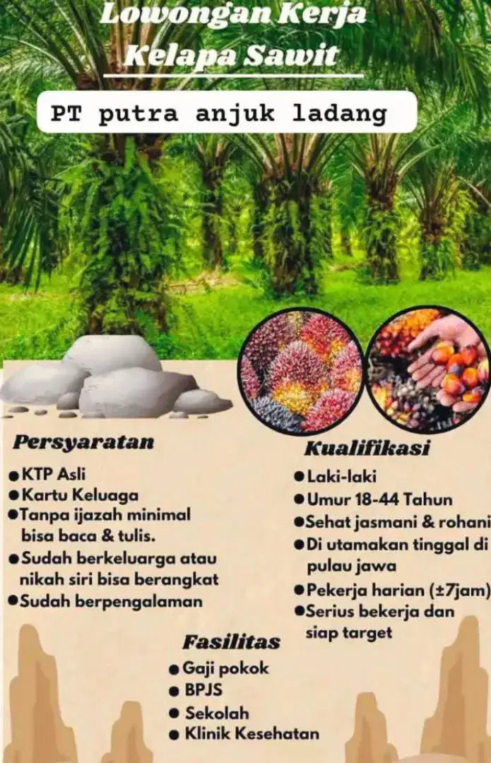 Lowongan kerja tanpa ijasah