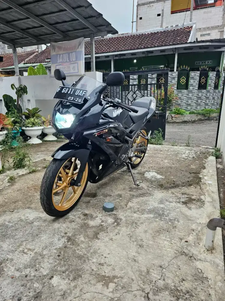 Kawasaki Ninja 150 RR 2016 (Free knalpot R9 mugello)