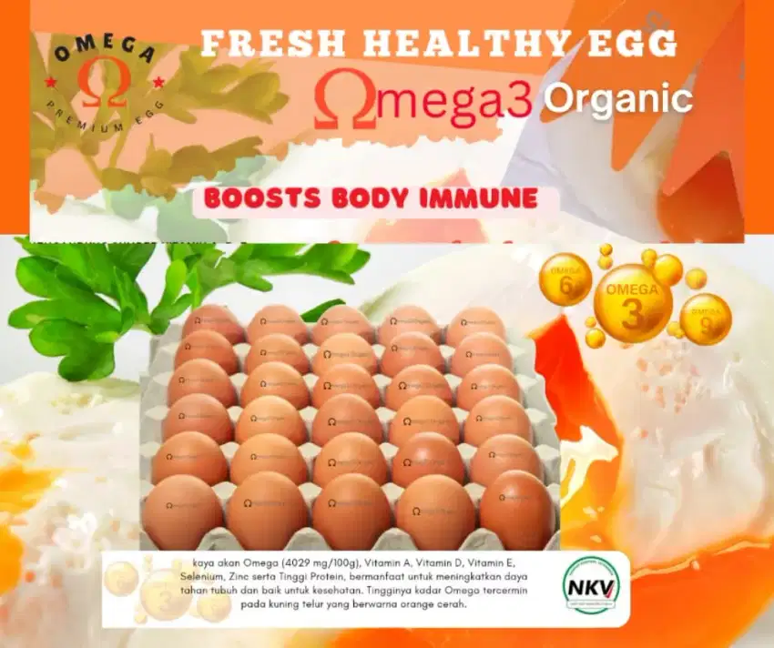 Telur omega organic