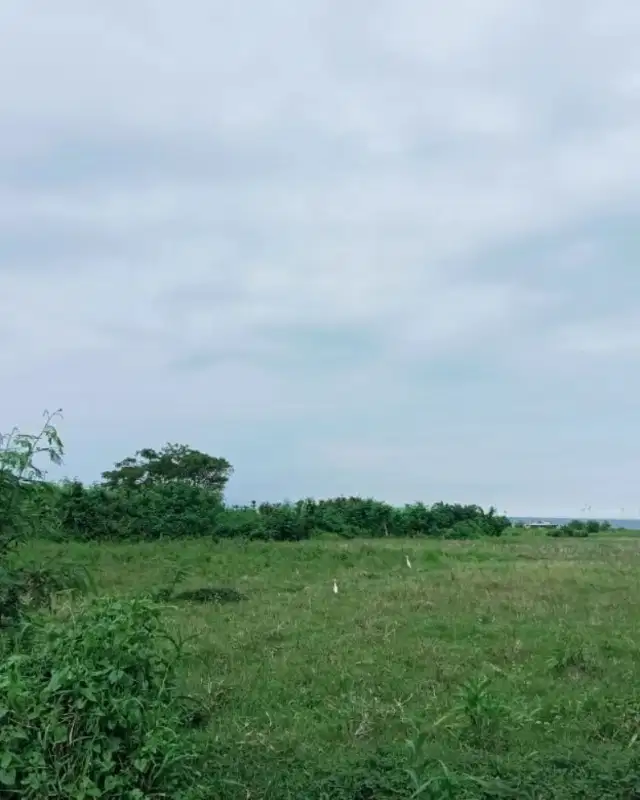 Tanah view pantai dan bisa jalan kaki ke pantai Siyut