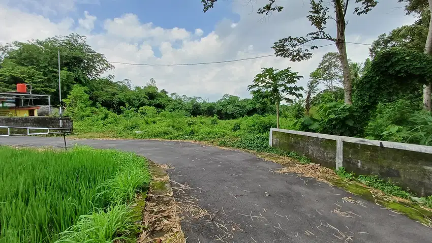 Tanah Jogja Kalasan view Sawah Kas Desa mangku jalan Aspal SHMP