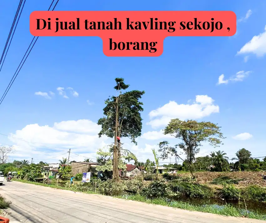 Tanah borang di jual murah