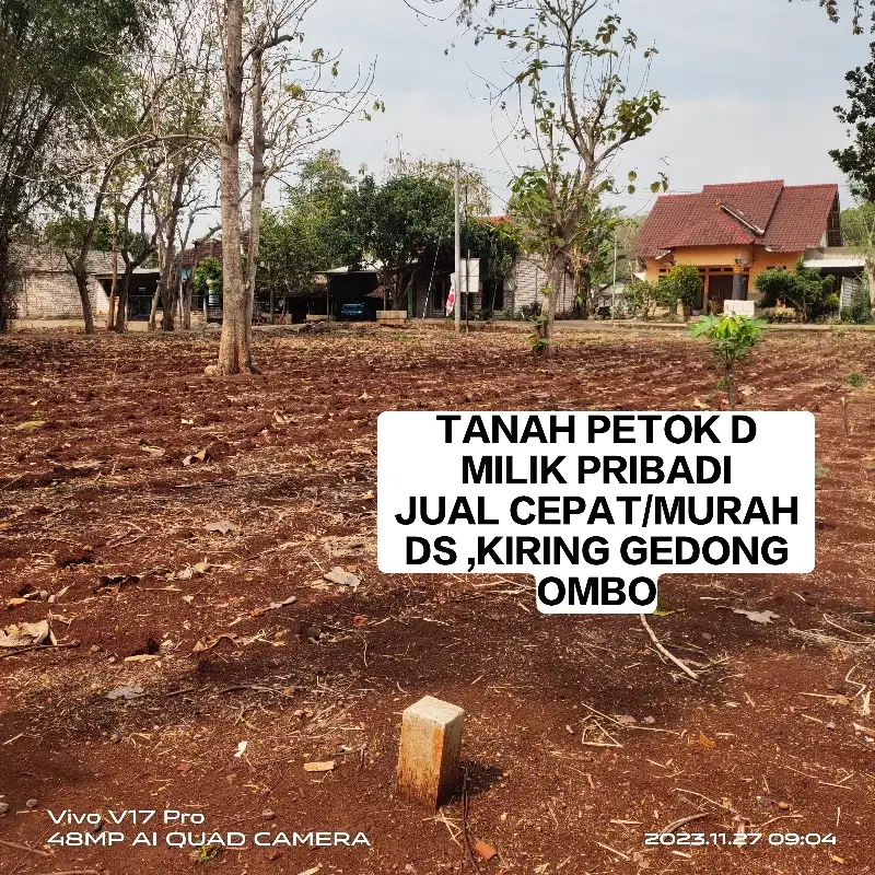 TANAH PEKARANGAN PETOK D JUAL MURAH MILIK PRIBADI