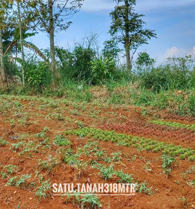 Dijual tanah matang siap bangun padat pinggir jalan