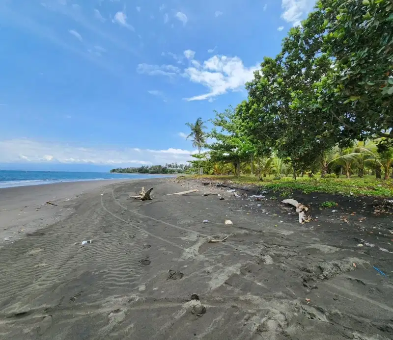 dijual tanah los pantai lokasi melaya jembrana bali