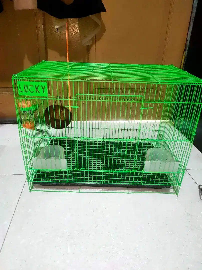 Kandang Ayam Burung Kelinci Sugar Glider