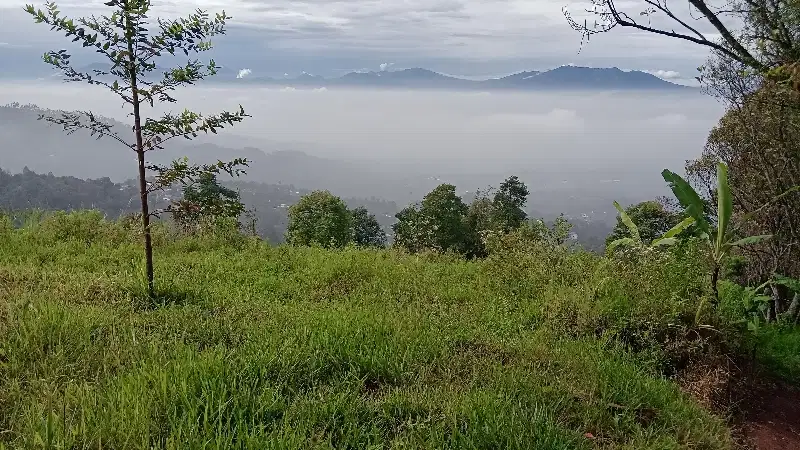 Tanah kebun pasir impun cikawari view ke kota bandung