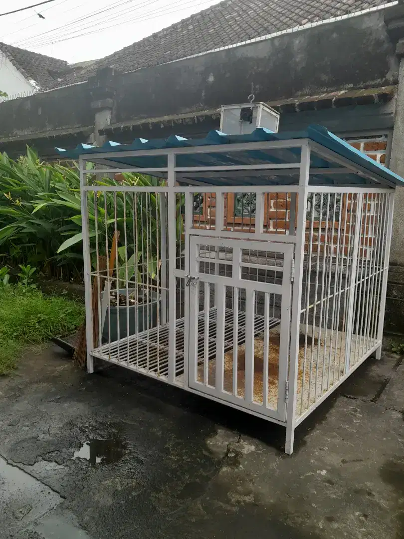 Kandang anjing ukuran L (1,5mx1,5m) T (1,7m)