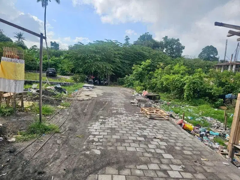 Tanah Berawa Canggu Kuta Utara Badung