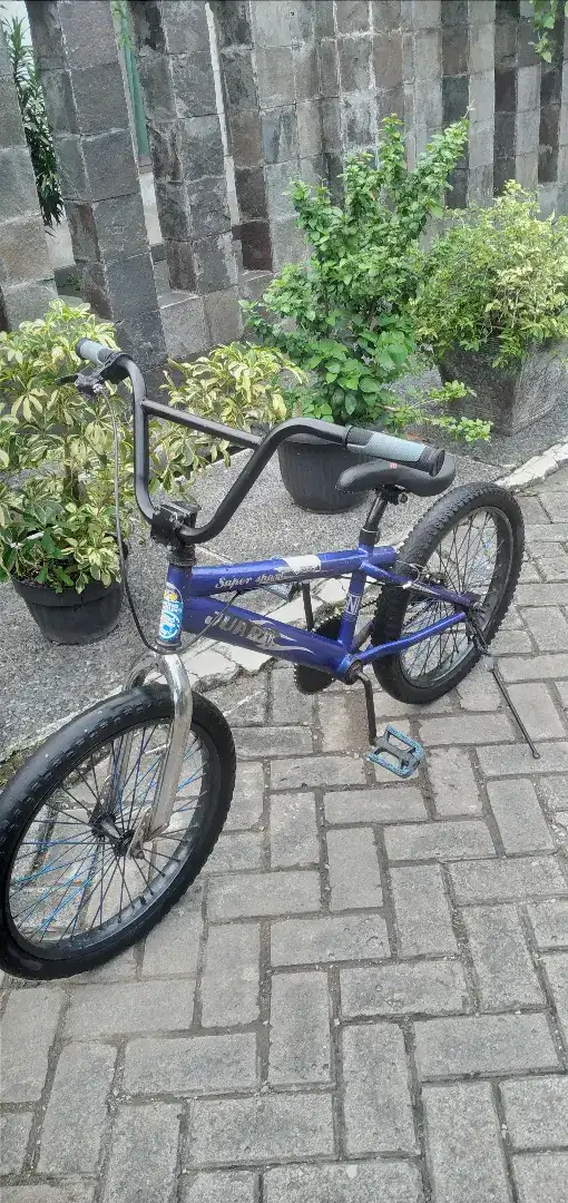 Sepeda anak,sepeda bmx, ring 20,kondisi siap pakai