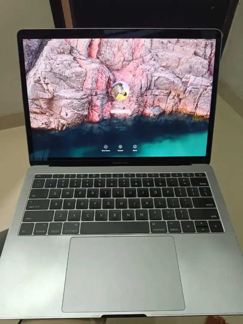 MacBook Pro 2017 16Gb/256Gb