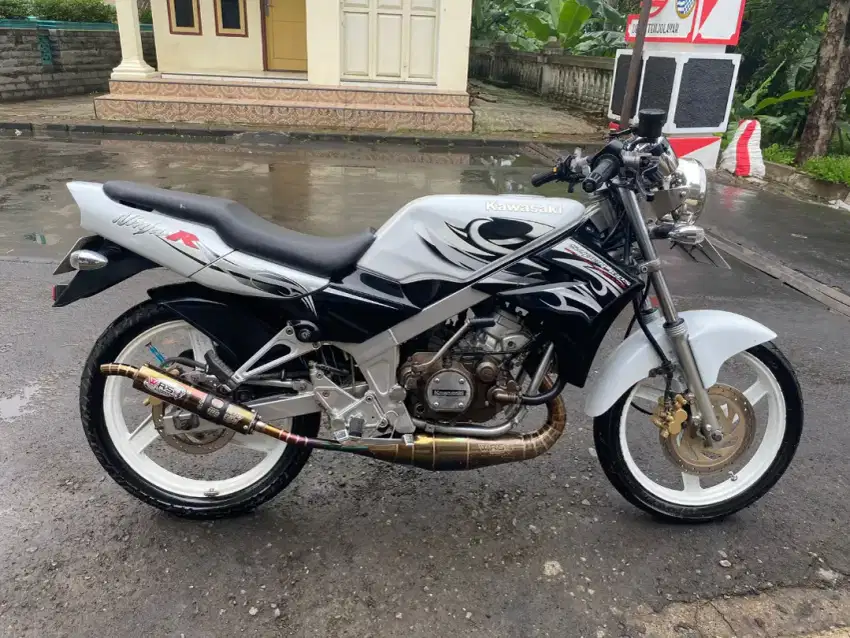 Ninja R putih albino