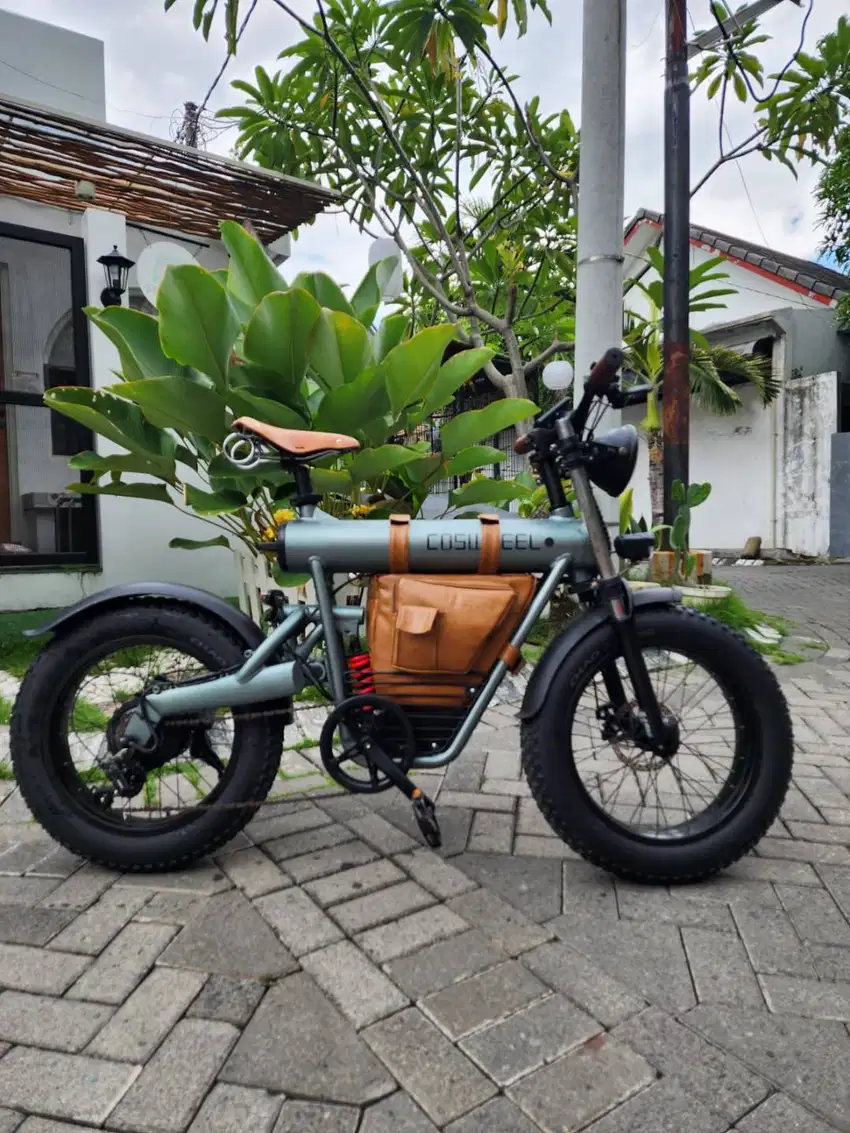 Sepeda Listrik Retro Coswheel T20