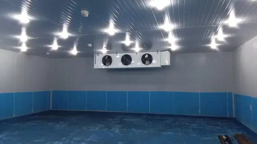 Cold Storage Cold Room