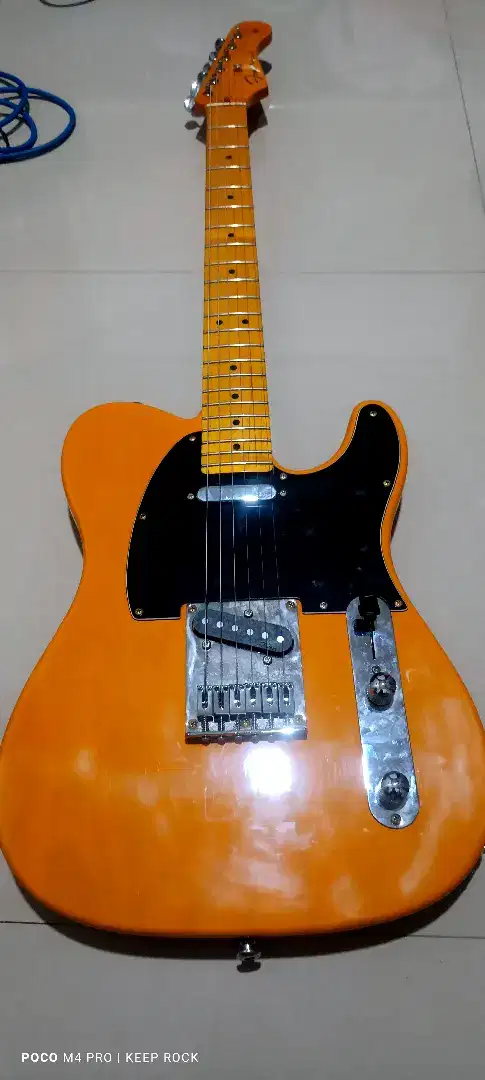 Gitar Fena TL STD 2024 model butterscotch