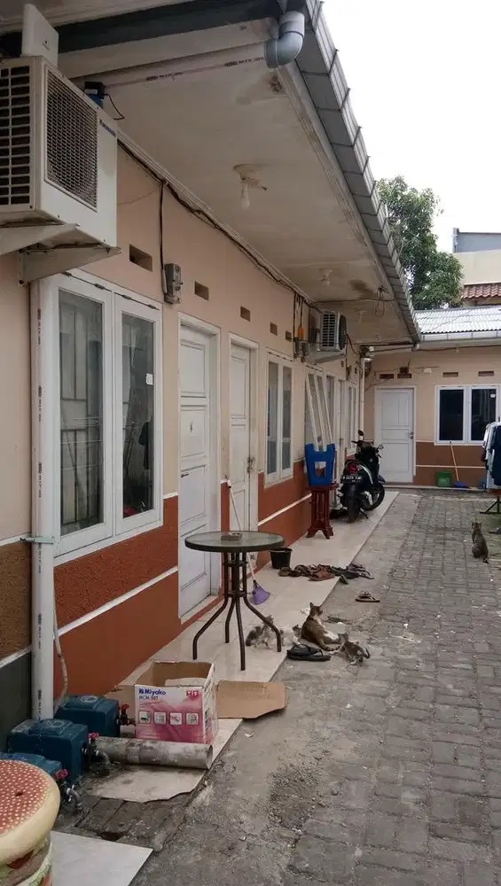 Di sewa / kontrakan rumah petak di taman cimanggu bogor