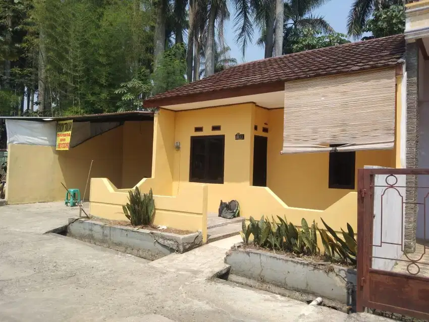 Rumah Kontrakan Sewa Murah Babakan Madang Sentul Banana Residence