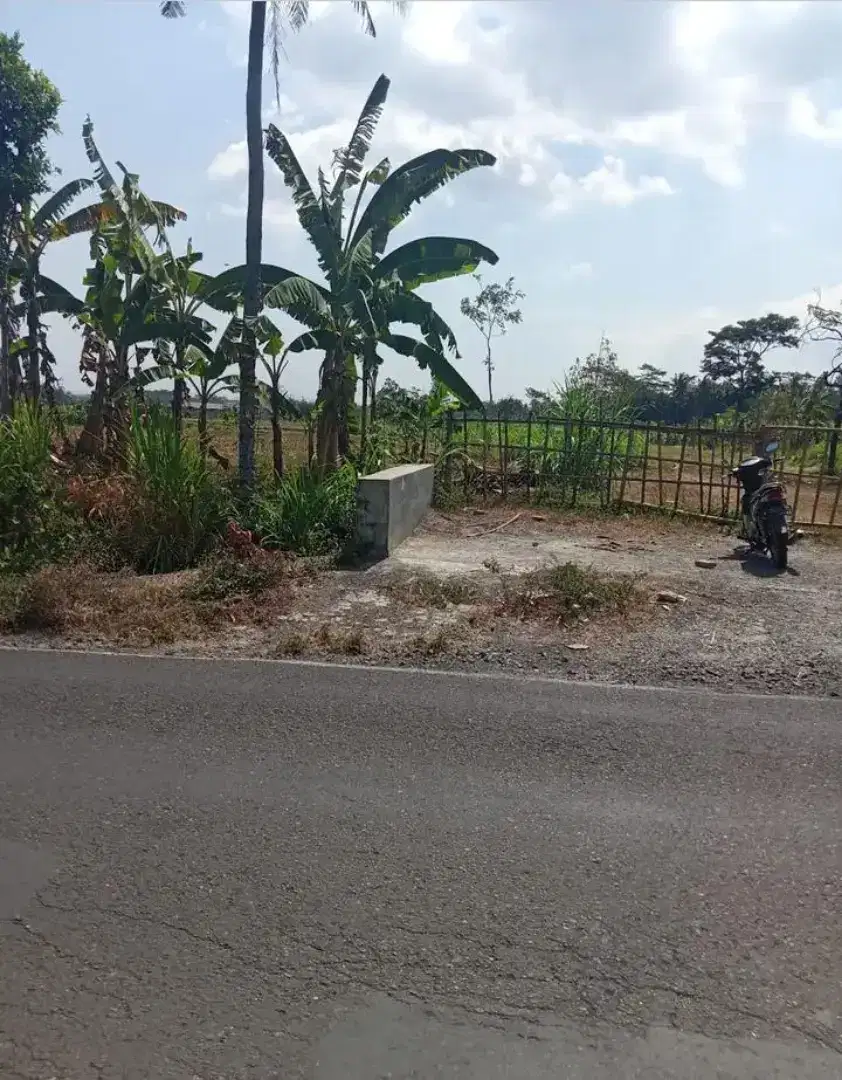 Lahan pinggir jalan raya Baturaden Timur cocok untuk usaha atau hunian