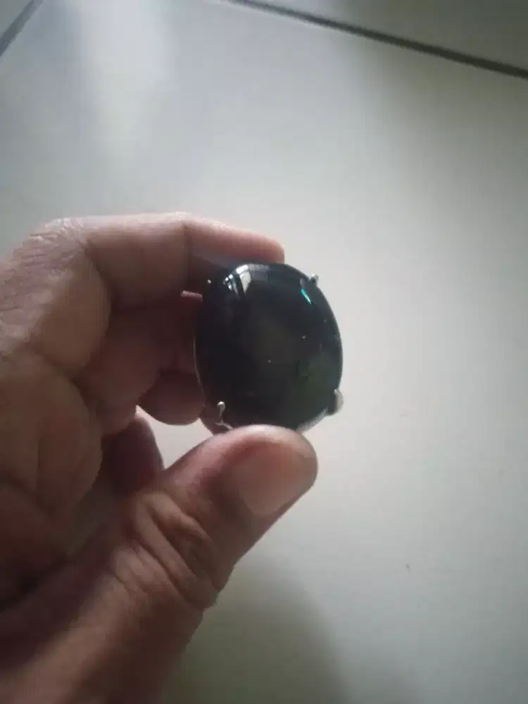 Batu yaman fosil kelor babon