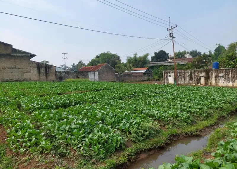 Tanah kebun buat villa kolam ciluncat soreang