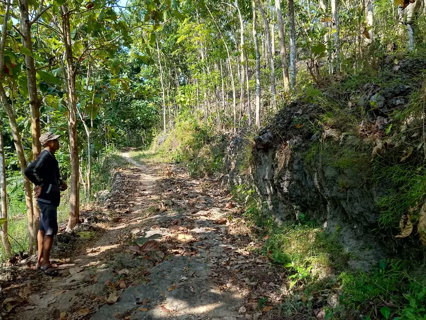 DIJUAL TANAH MURAH GUNUNGKIDUL