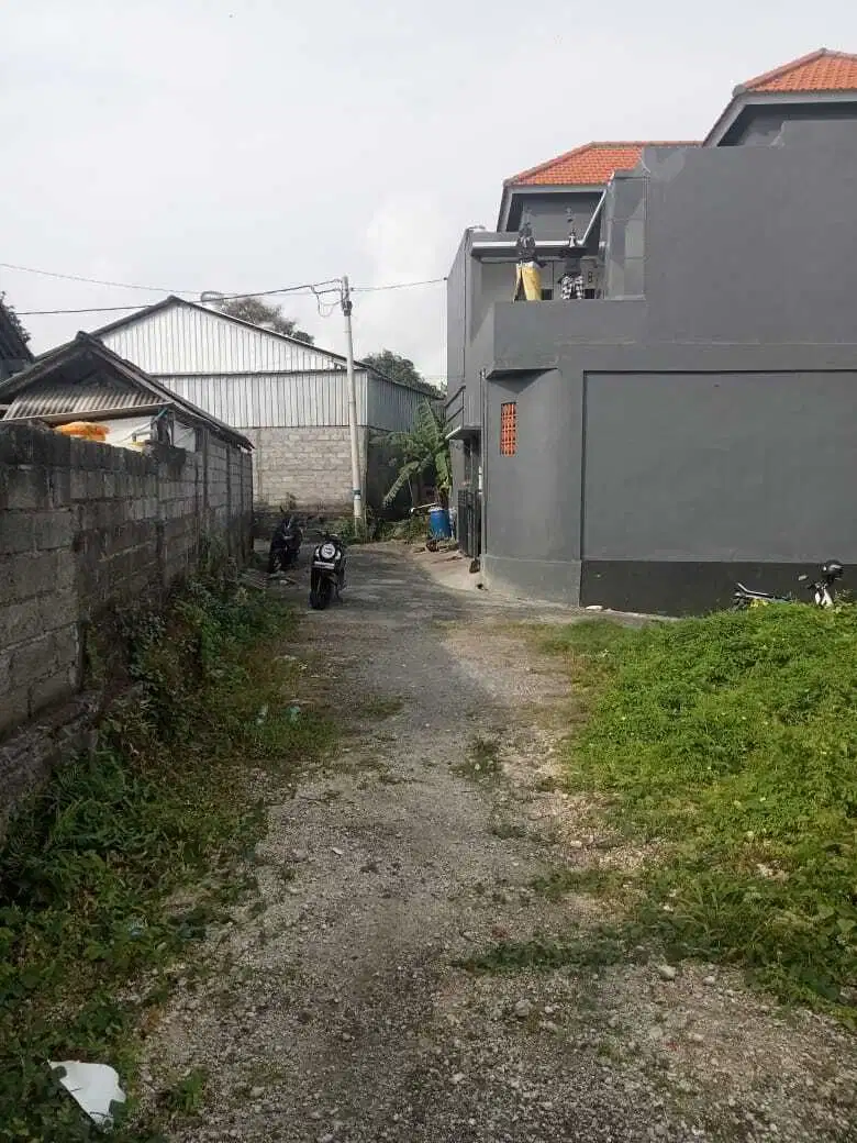 Jual murah tanah 150 m2 di Dalung