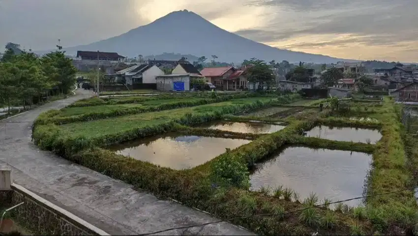 DIJUAL CEPAT: Tanah luas cocok untuk kavling / bisnis