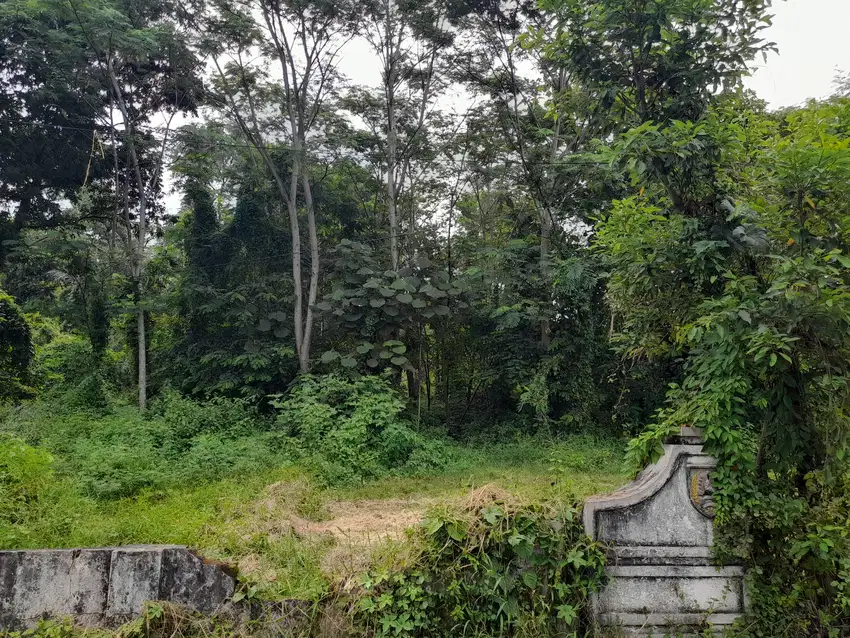 Tanah Permukiman di Boas Mojowarno, Jombang