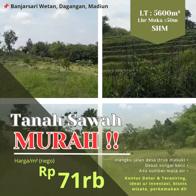 TANAH SAWAH MURAH Dİ MADİUN