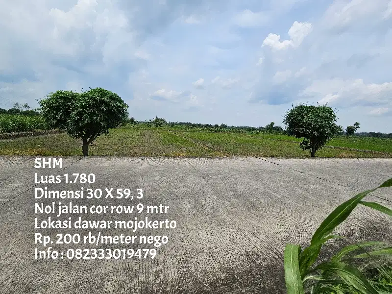 Tanah pinggir jl. jalur kabupaten row 10 mtr