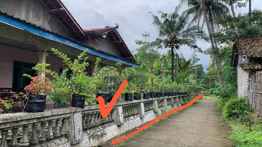 Dijual Tanah di Banyuripan Klaten lokasi Strategis