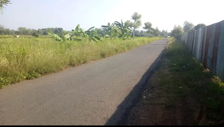 TANAH ZONA PERTANIAN/ TAMBAK BATANG